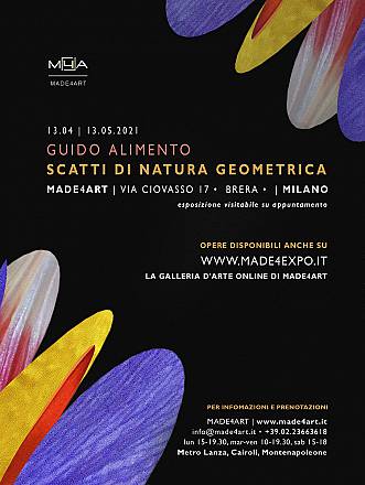 Guido alimento. scatti di natura geometrica